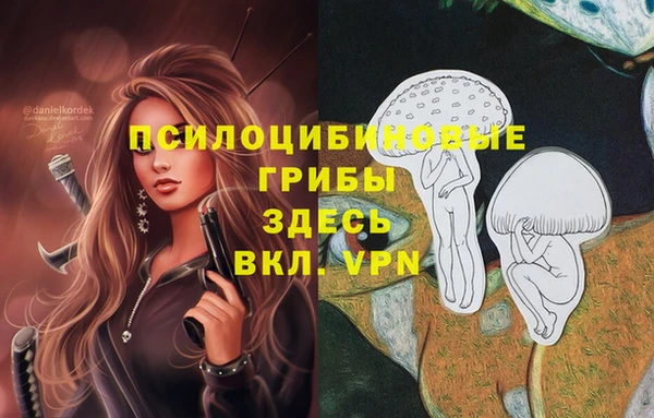 синтетический гашиш Беломорск