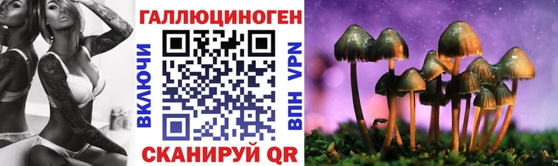 Галлюциногенные грибы прущие грибы Чишмы