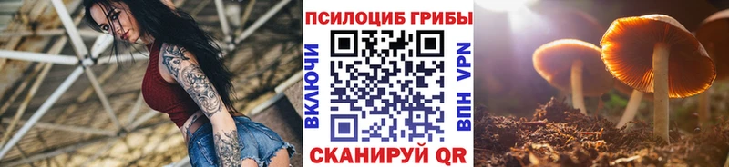 цены   Чишмы  kraken как зайти  Псилоцибиновые грибы мухоморы 